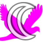 Canada Press On Nails